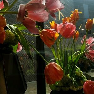 Meet your Posher, Patricia